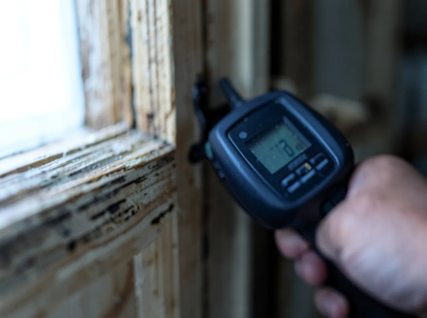 Moisture Inspection And Documentation in Bulls Gap, TN